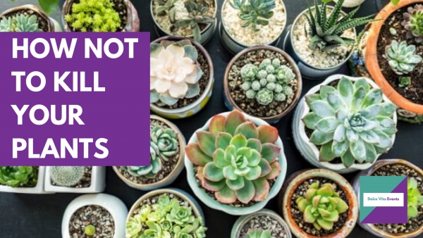 How NOT to kill your plants