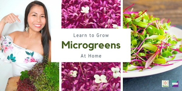 Growing Microgreens at Home