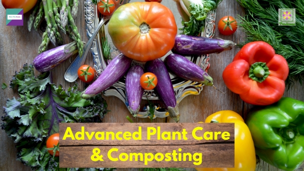 Advanced Plant Care and Composting